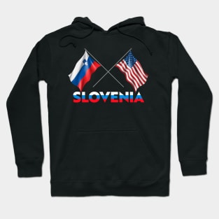 Slovenian Pride Flag T-Design Hoodie